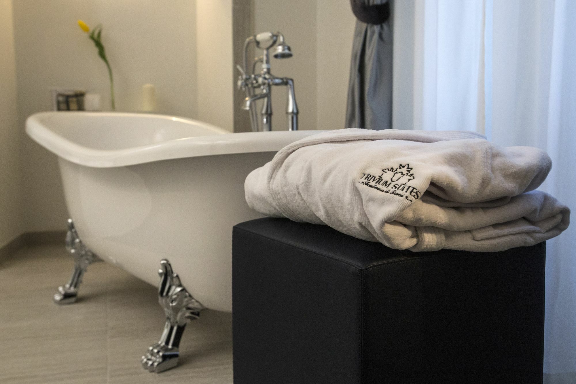 Trivium Suites Fontana Di Trevi Roma Eksteriør bilde